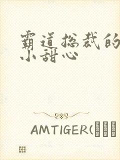 霸道总裁的宠爱小甜心