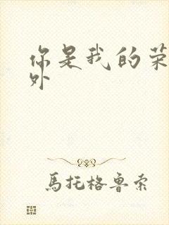 你是我的荣耀番外