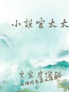 小说官太太