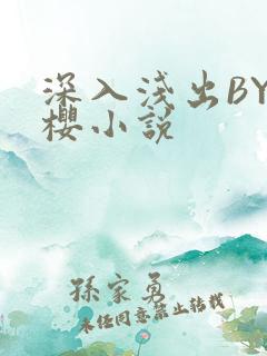 深入浅出BY胖樱小说