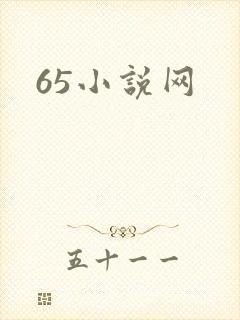 65小说网