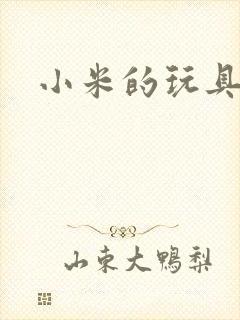 小米的玩具日记