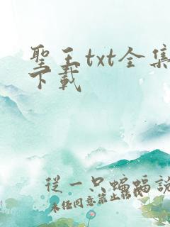 圣王txt全集下载