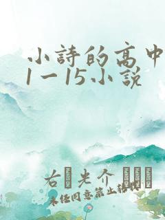 小诗的高中日记1一15小说