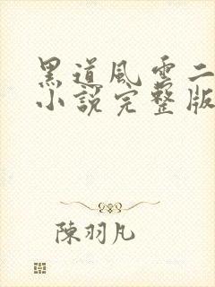 黑道风云二十年小说完整版