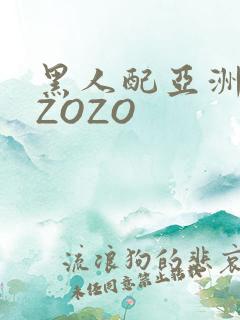 黑人配亚洲女人ZOZO