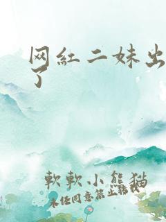 网红二妹出啥事了