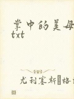 掌中的美母版主txt