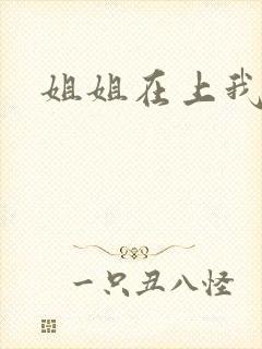 姐姐在上我在下