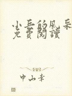 小兵的风采小说免费阅读