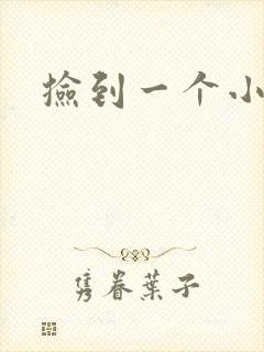 捡到一个小妖精