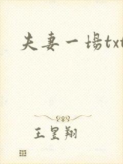 夫妻一场txt