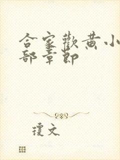 合家欢黄小梅全部章节