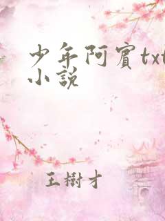 少年阿宾txt小说