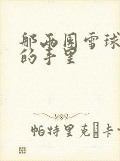 那两团雪球在他的手里