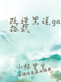 改造黑道gay总裁