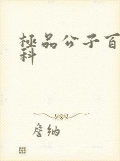 极品公子百度百科