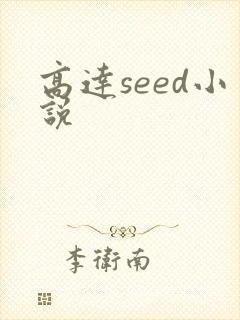 高达seed小说