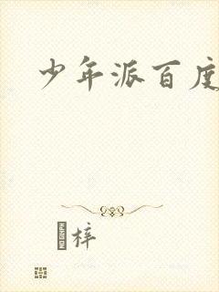 少年派百度百科