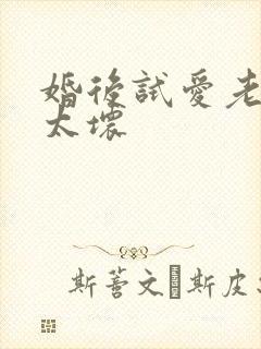 婚后试爱老公别太坏