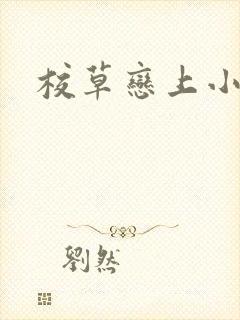 校草恋上小丫头