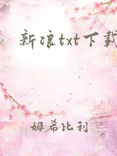 新浪txt下载