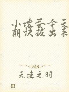 小坏蛋今天危险期快拔出来