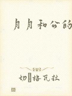 月月和公的恋情