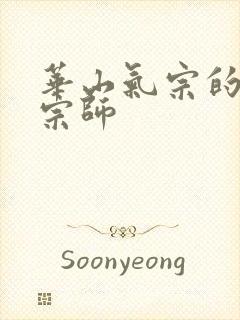 华山气宗的形意宗师