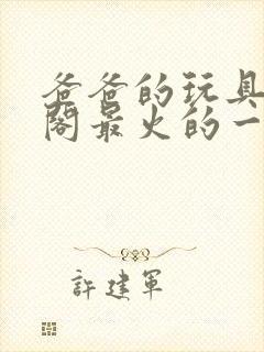 爸爸的玩具笔趣阁最火的一句