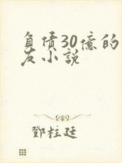 负债30亿的男友小说