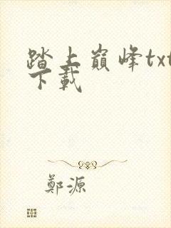 踏上巅峰txt下载