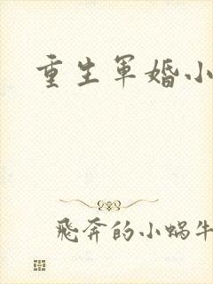 重生军婚小媳妇