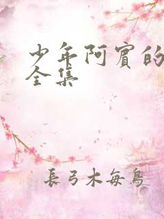 少年阿宾的故事全集