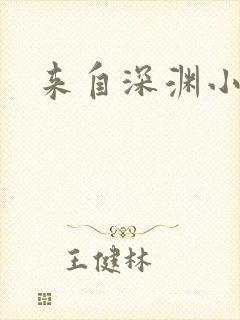 来自深渊小说