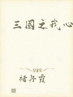 三国之我心狂想