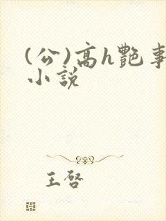 (公)高h艳事小说
