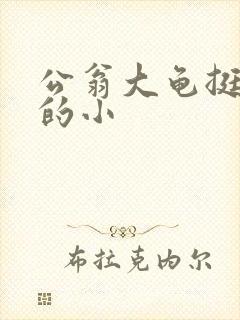 公翁大龟挺进我的小