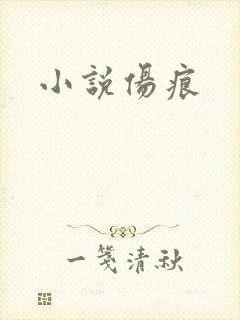 小说伤痕