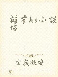 谁有hs小说网站