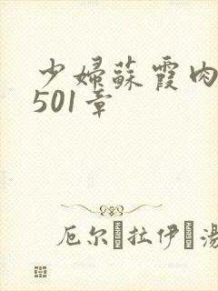 少妇苏霞肉欲第501章