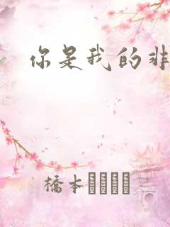 你是我的非卖品