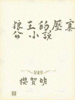 狼王的压寨小相公 小说