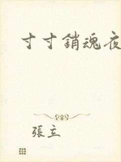 寸寸销魂夜春光