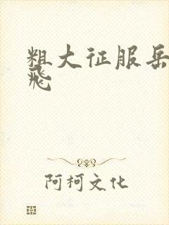 粗大征服岳女双飞