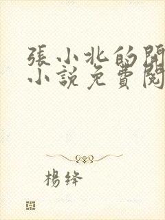 张小北的开光师小说免费阅读怎么没有276章