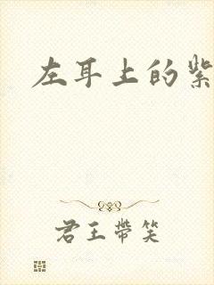 左耳上的紫水晶