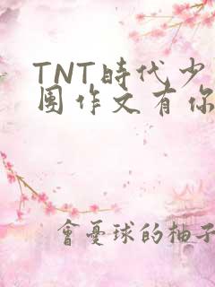 TNT时代少年团作文有你真好