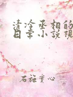 清冷丞相的爆炒日常小说视频