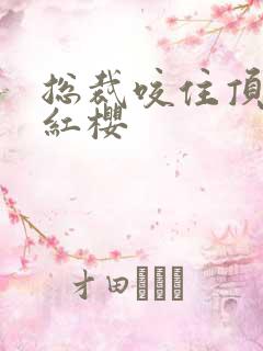 总裁咬住顶端的红樱